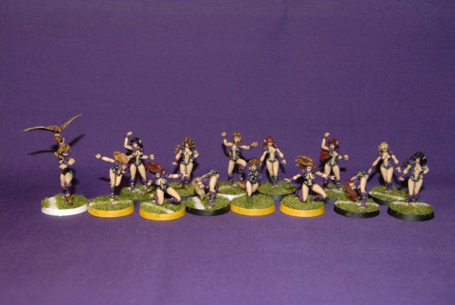 T_Equipo_Elfas_Silvanas01