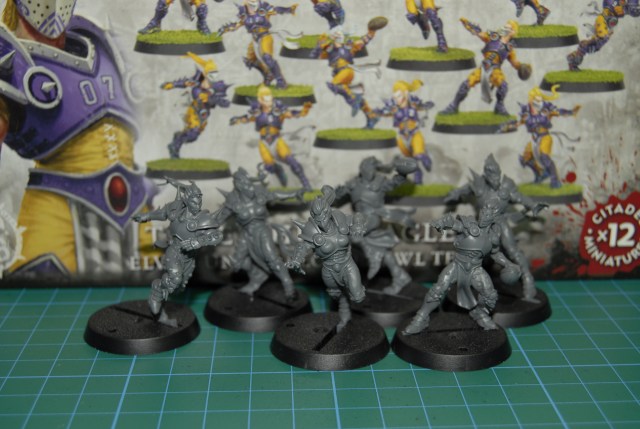 grises_elven_union_bb_gw